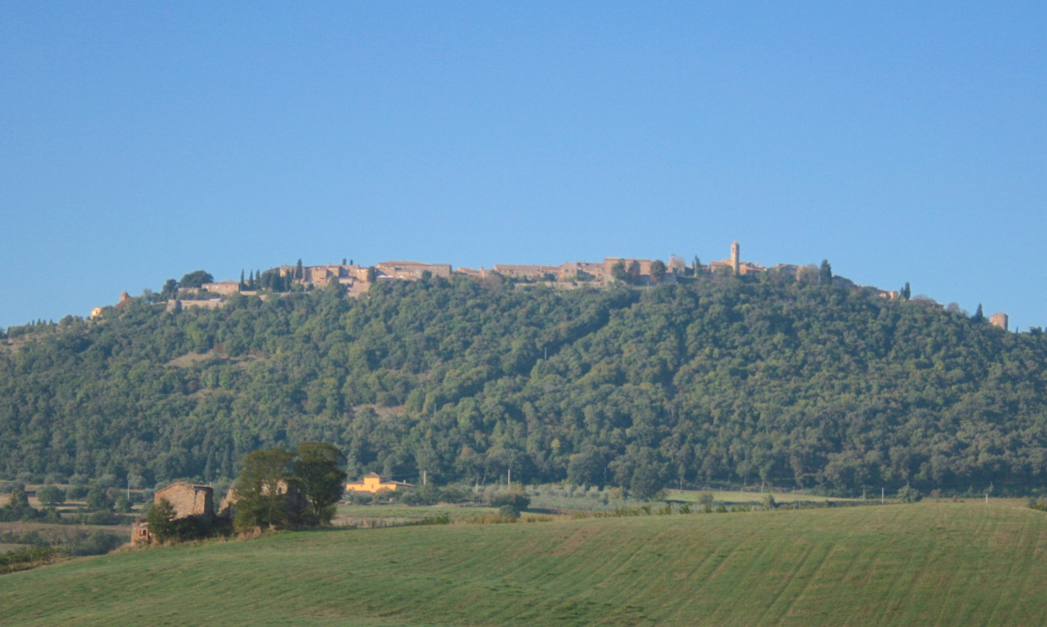 Montefollonico sulla collina