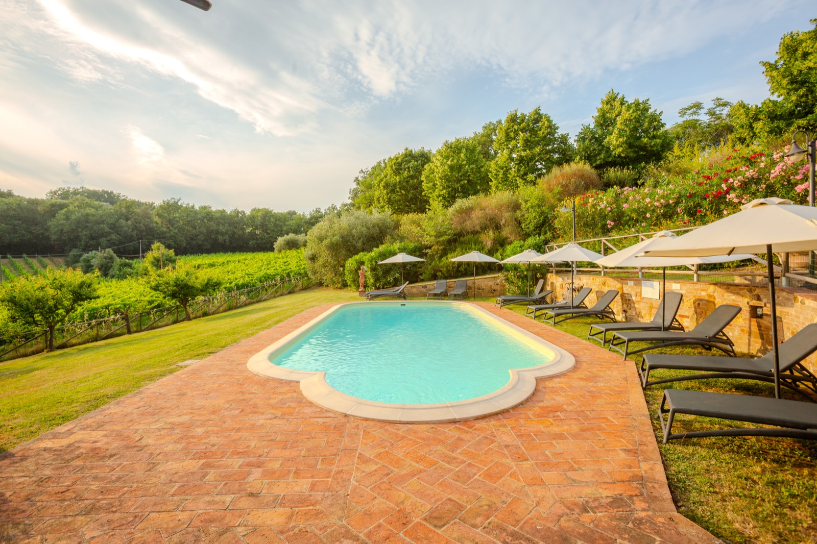 Piscina al tramonto con vista sui vigneti
