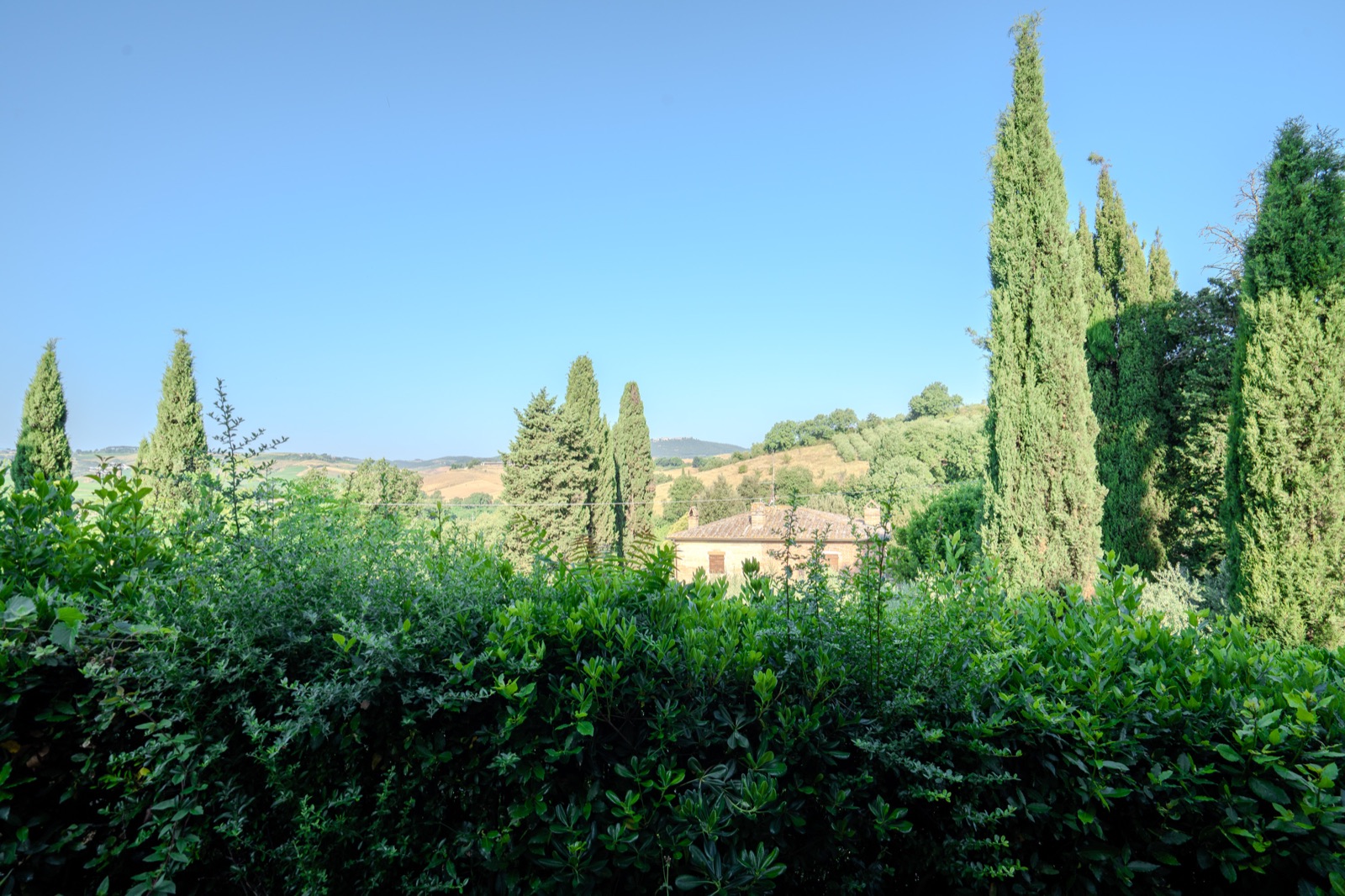 Vista sui cipressi e sulla campagna toscana